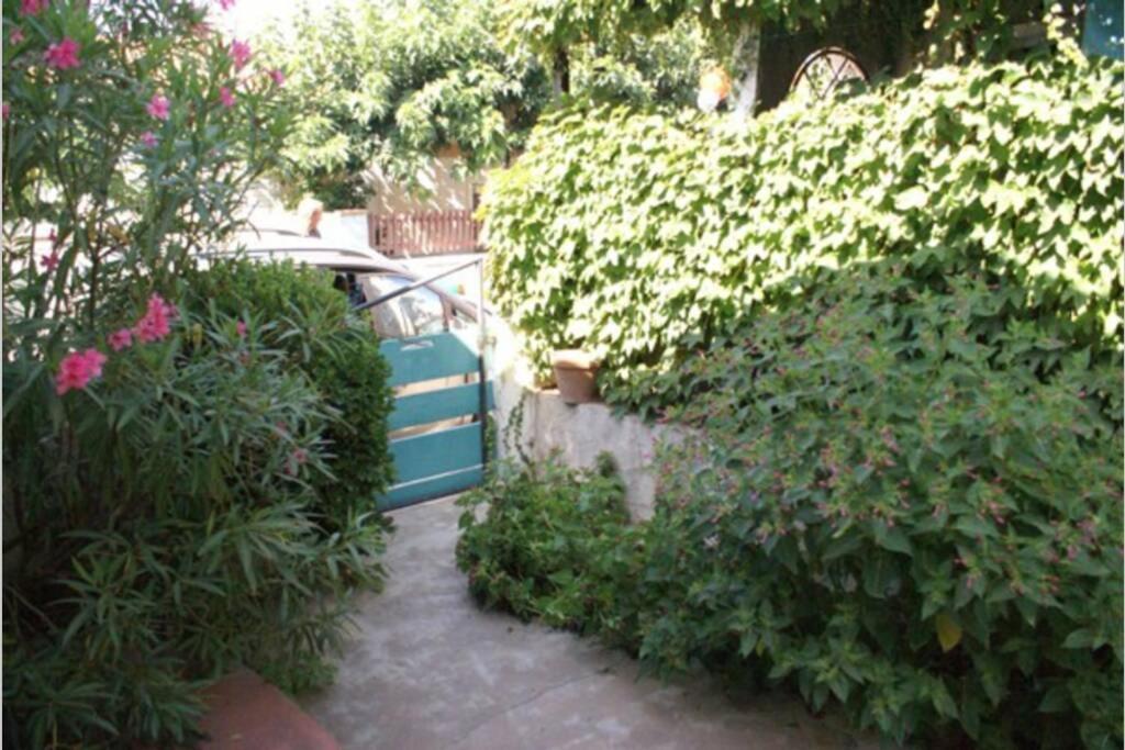 Belle Maison Avec Jardin A 1Mn De La Plage Le Grau-dʼAgde 외부 사진