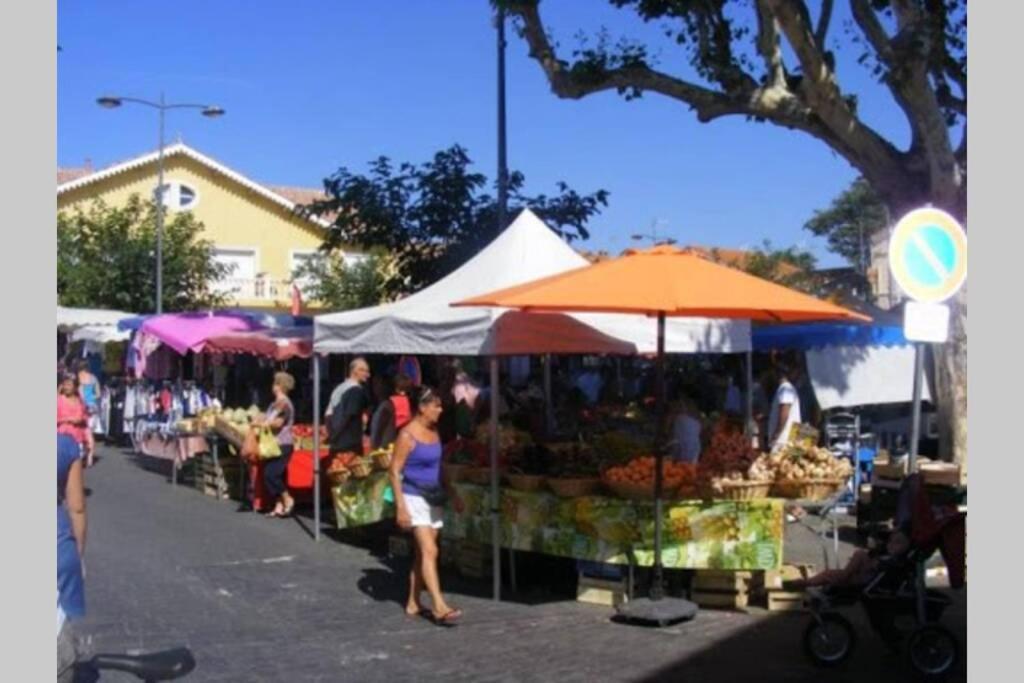 Belle Maison Avec Jardin A 1Mn De La Plage Le Grau-dʼAgde 외부 사진